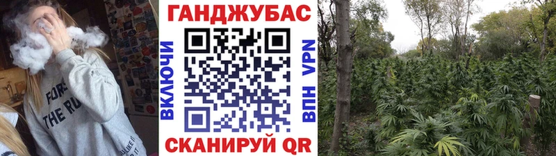 Конопля OG Kush  Купить  Барнаул 